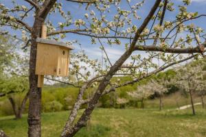 Cerckova domacija_april 2020_POMANJSANE-29-15